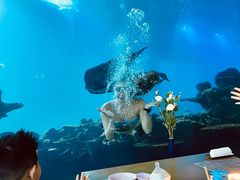 -涛·海底餐厅·美人鱼·自助餐·海底隧道(三亚海棠湾洲际度假酒店)