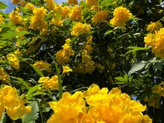 -晓港公园