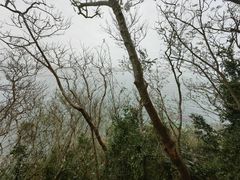 -涠洲岛火山国家地质公园