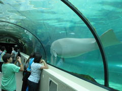-悉尼海洋生物水族馆