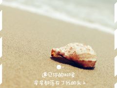 -白城沙滩