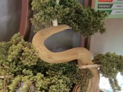 -陆琴脚艺·足浴·SPA(夫子庙店)