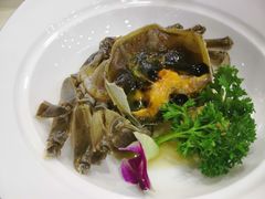 -王宝和酒家(黄浦店)