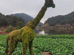 -广州市石门国家森林公园