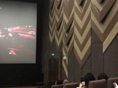 -百丽宫影城(ifc商场店)