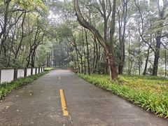 -西南交通大学(峨眉校区)