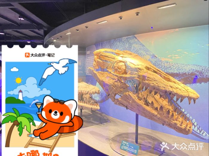 国家自然博物馆图片