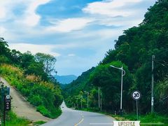 -伯公坳敏记凉粉