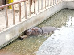 -青藏高原野生动物园