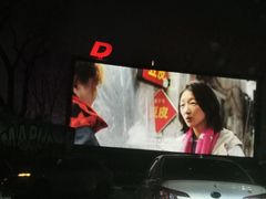 -枫花园汽车电影院(朝阳公园店)