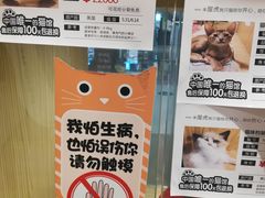 -屋虎猫馆(宝安大仟里店)