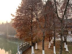 -八大山人梅湖景区