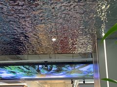 -探窝·竹笙椰子鸡(杨箕店)