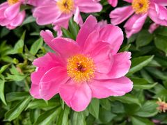 -长春公园(普阳街道)