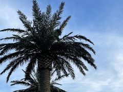 -上海玛雅海滩水公园