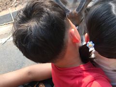 -清迈夜间动物园