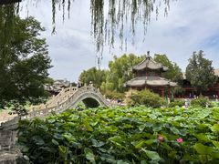 -莲池书院博物馆