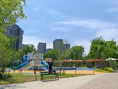 -新江湾城公园