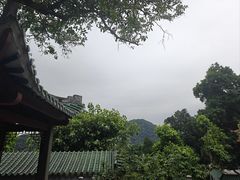 -鼎湖山风景区