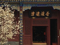 -天津大悲禅院