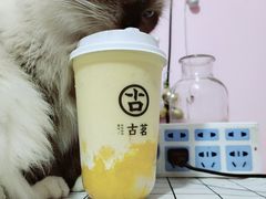 -古茗(泉州浦西万达金街店)