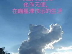 -谐和贝康宠物医院24小时·宠保定点(急重症转诊中心)