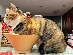 -新荟城(望京店)