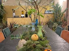 -PlantsEatery·植物食堂(REX春熙店)
