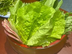 -菌之家·专业纯野生菌火锅·特色炒菌