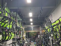 -道路口单车爱瓦士dahon大行