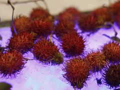 -杭州钱江新城万怡酒店-西餐厅