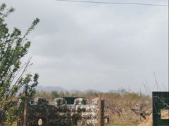 -亲兄弟真人CS团建拓展基地