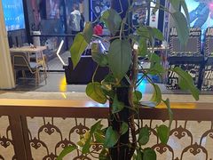 -额尔敦·品质自助(摩尔城店)