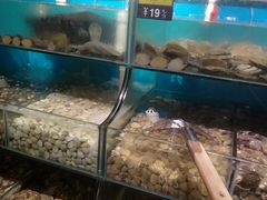 水产区-蟹谢蒸鲜自助餐厅