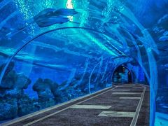 -成都浩海立方海洋公园