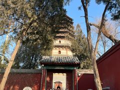 -天宁寺
