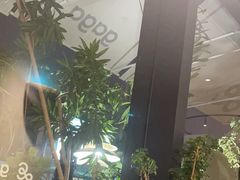 -gaga(深圳南山益田假日广场店)