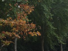 -河南省黄河迎宾馆