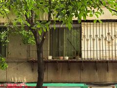 -萨尔瓦多Salvador's
