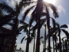 iphone_upload_pic-三亚亚龙湾红树林度假酒店