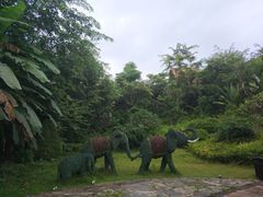 -西双版纳融创皇冠假日度假酒店