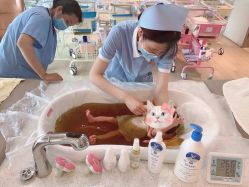 -禧月荟S月子中心(侨城店)