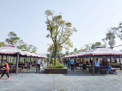 -春花秋色城市公园