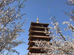 -牛首山文化旅游区