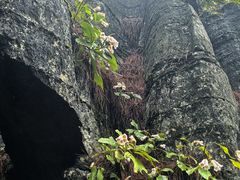 -梭布垭石林景区