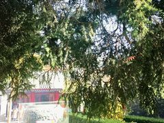 -西安市广仁寺
