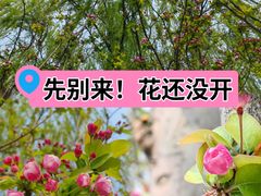 -海棠花溪(元大都城垣遗址公园)
