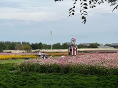 -江苏三台山国家森林公园