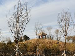 -东郊湿地公园