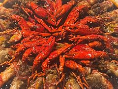-红盔甲·小龙虾(天钥桥店)
